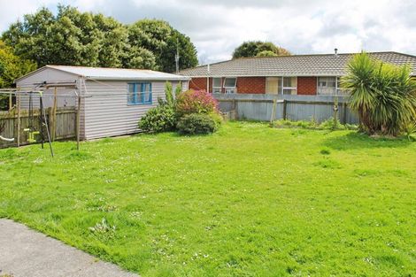 Photo of property in 99 College Street, Awapuni, Palmerston North, 4412