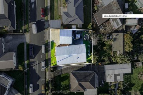 Photo of property in 101 Lowe Avenue, Thames, 3500