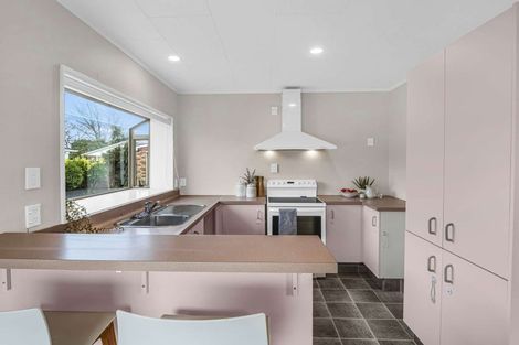 Photo of property in 53 Treadwell Street, Springvale, Whanganui, 4501