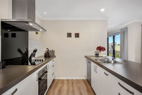 Photo of property in 169 John Burke Drive, Aotea, Porirua, 5024