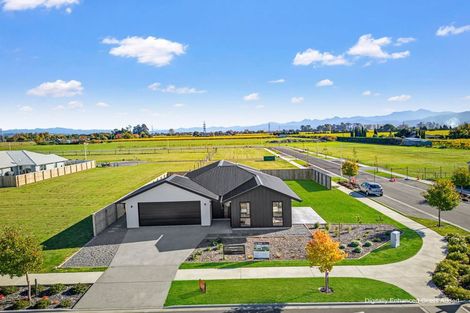 Photo of property in 31 Whitehall Drive, Springlands, 7201