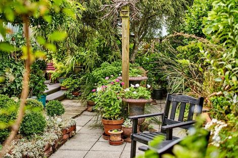 Photo of property in 93 Constable Street, Newtown, Wellington, 6021