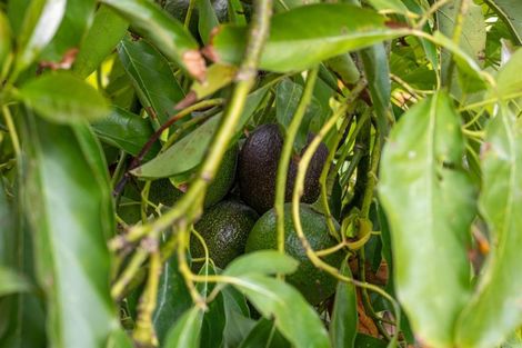 Photo of property in 3265 South Head Road, South Head, Helensville, 0874