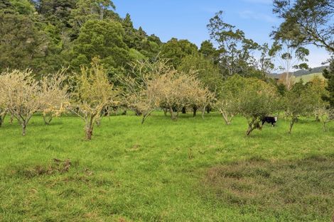 Photo of property in 669 Takahue Road, Takahue, Kaitaia, 0481