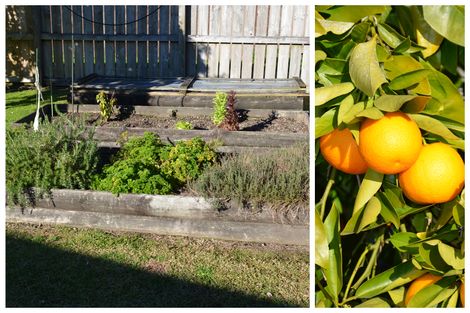 Photo of property in 12 Blundell Avenue, Kawerau, 3127