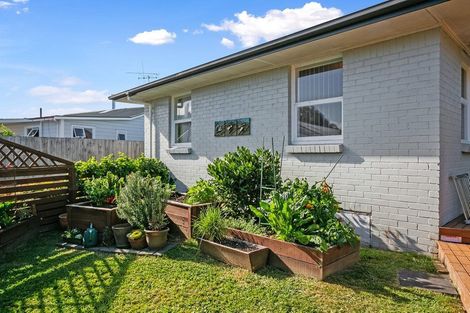 Photo of property in 40 King Street, Cambridge, 3434