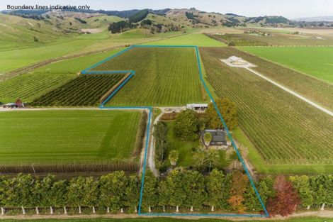 Photo of property in 144 Ngakoroa Road, Ormond, Gisborne, 4071