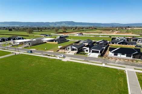 Photo of property in 14 Rangitihi Street, Matamata, 3400