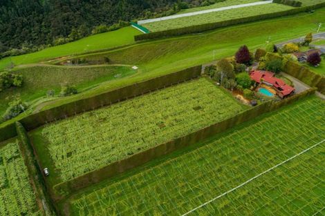 Photo of property in 706 No 1 Road, Te Puke, 3182