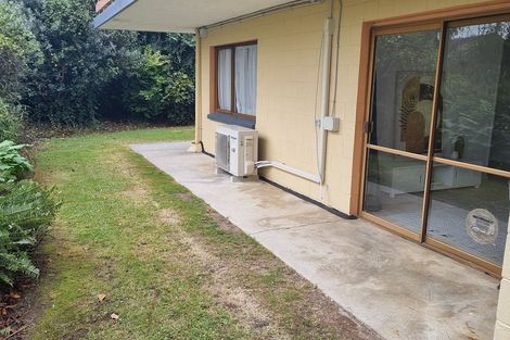 Photo of property in 19 Sussex Street, Chartwell, Hamilton, 3210