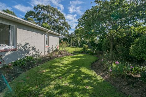 Photo of property in 5 Jackson Street, Darfield, 7510