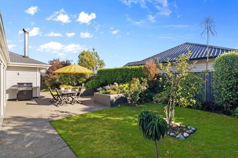 Photo of property in 22 Wineberry Avenue, Amberley, 7410