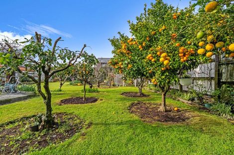 Photo of property in 35 Sherson Street, Gate Pa, Tauranga, 3112