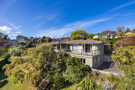 Photo of property in 87 Jeffery Street, Andersons Bay, Dunedin, 9013