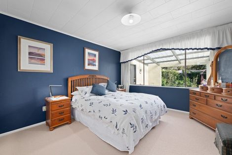 Photo of property in 19 Alma Street, Renwick, 7204
