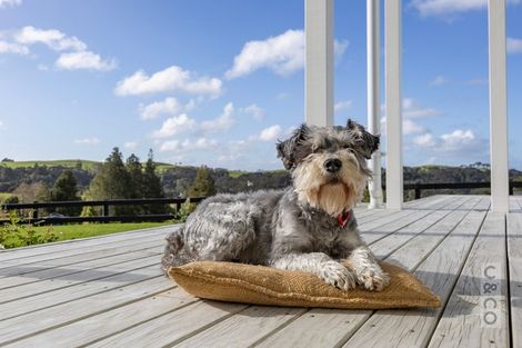 Photo of property in 93 Alf Access Road, Helensville, 0875