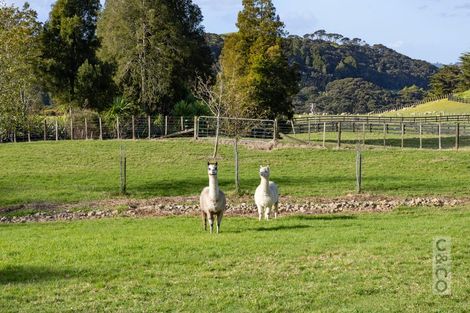 Photo of property in 93 Alf Access Road, Helensville, 0875