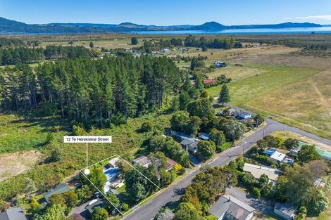 Photo of property in 12 Te Herekiekie Street, Turangi, 3334