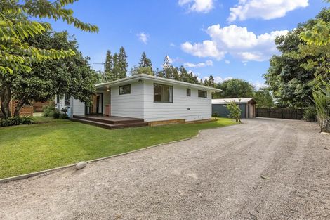 Photo of property in 114r Kairua Road, Kairua, Tauranga, 3175