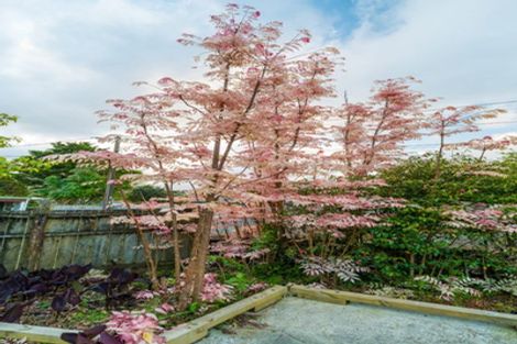 Photo of property in 99a/3 View Road, Sunnyvale, Auckland, 0612