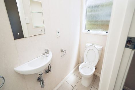 Photo of property in 117 Te Awe Awe Street, Hokowhitu, Palmerston North, 4410