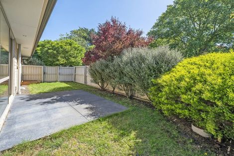 Photo of property in 54 Thackeray Place, Waltham, Christchurch, 8023