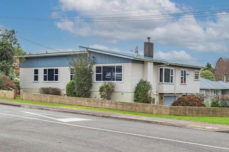 Photo of property in 2 Argyle Avenue, Levin, 5510