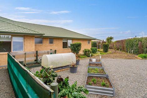 Photo of property in 24 Mill Grove, Clareville, Carterton, 5713