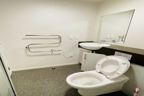 Photo of property in The Peak Apartments, 502/170 Taranaki Street, Te Aro, Wellington, 6011