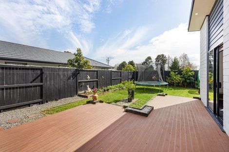 Photo of property in 48 Meachem Road, Chartwell, Hamilton, 3210