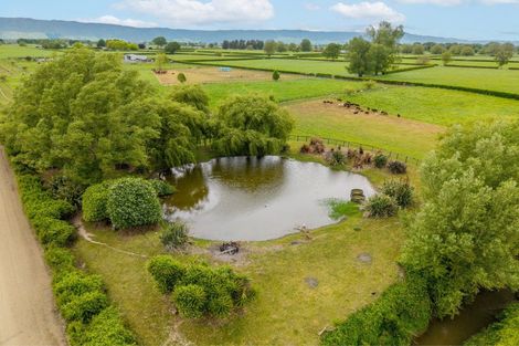 Photo of property in 1636 Alexandra Road, Waharoa, 3474