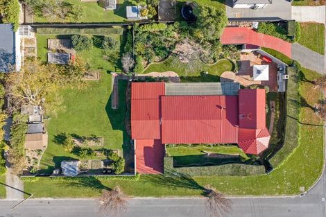 Photo of property in 19 Alma Street, Renwick, 7204