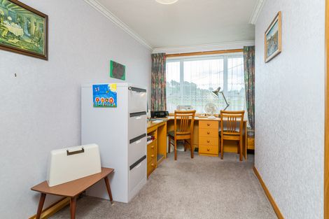 Photo of property in 101 Caldwell Street, Brockville, Dunedin, 9011