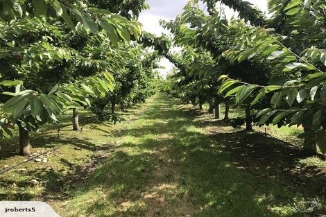 Photo of property in 66 Gladsmuir Road, Queensberry, Cromwell, 9383