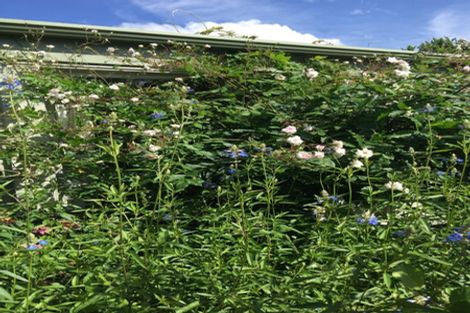 Photo of property in 62 Kuratawhiti Street, Greytown, 5712