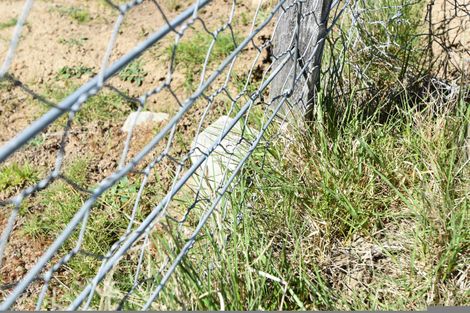 Photo of property in 5 Harris Place, Twizel, 7901
