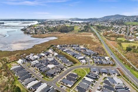Photo of property in 21 Kuihi Street, Poike, Tauranga, 3112