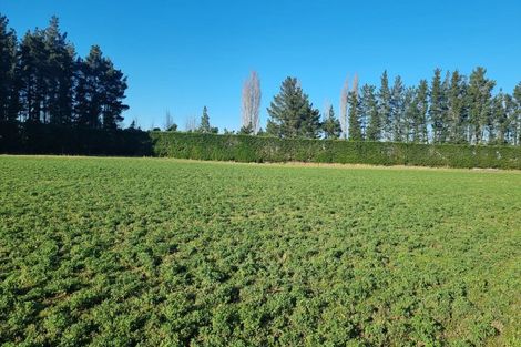 Photo of property in 480 Pesters Road, West Eyreton, 7475