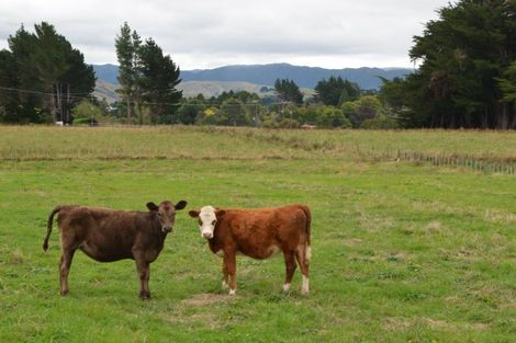 Photo of property in 40 Bright Street, Eketahuna, 4900