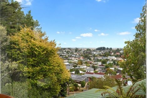 Photo of property in 29 Newcastle Road, Dinsdale, Hamilton, 3204