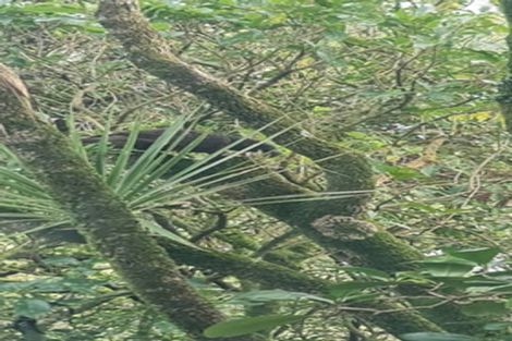 Photo of property in 7 Garden Road, Northland, Wellington, 6012