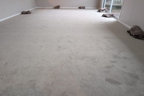 Photo of property in 3 Camden Place, Pukete, Hamilton, 3200