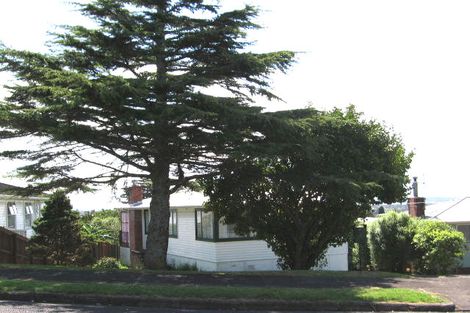 Photo of property in 6 Hepper Street, New Lynn, Auckland, 0600