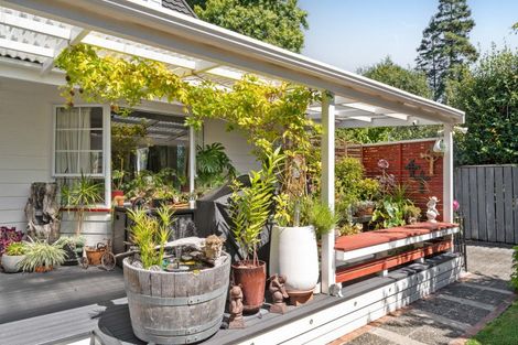 Photo of property in 45a Essex Street, Masterton, 5810