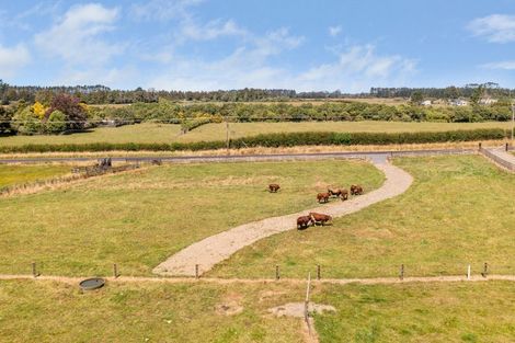 Photo of property in 39 Rugby Road, Tariki, 4388