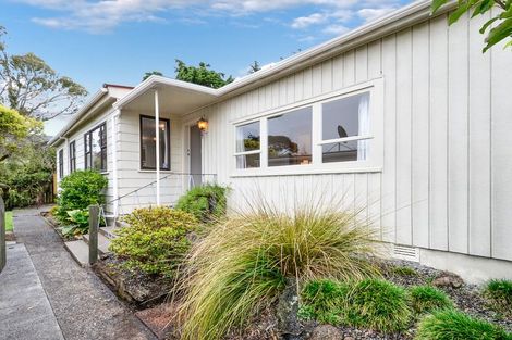 Photo of property in 60 Newington Road, Henderson, Auckland, 0612