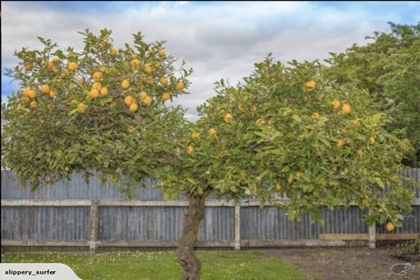 Photo of property in 21 Brunswick Road, Aramoho, Whanganui, 4500