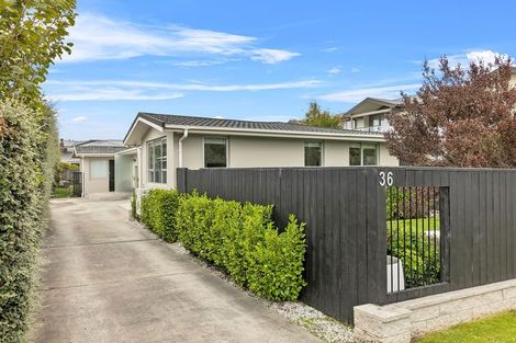 Photo of property in 36 Condell Avenue, Papanui, Christchurch, 8053