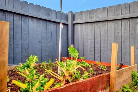 Photo of property in 3b Townhead Crescent, Bethlehem, Tauranga, 3110