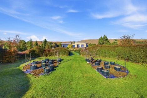 Photo of property in 38 Princes Street, Waikari, 7420